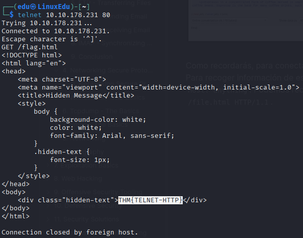 HTTP(S) - Accessing the Web
