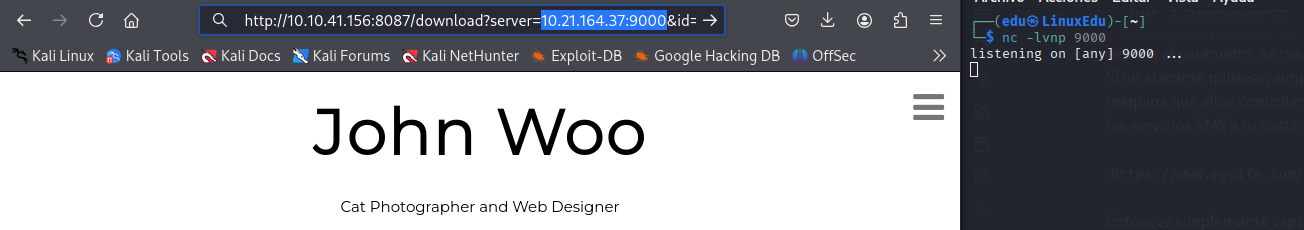 X. Server-Side Request Forgery (SSRF)