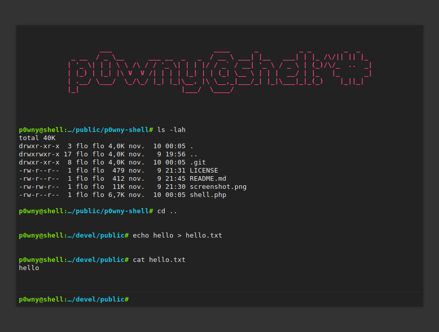 Web Shell