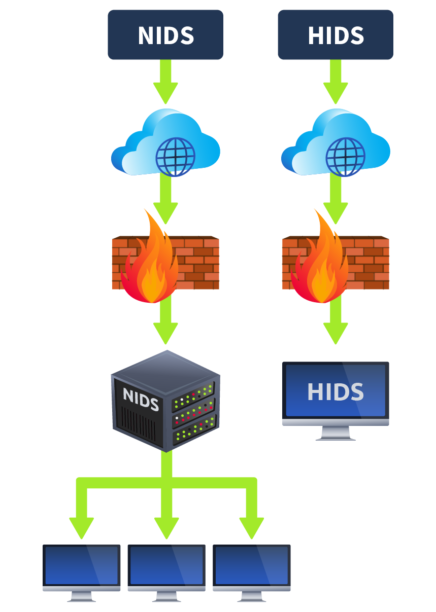 Types of IDS