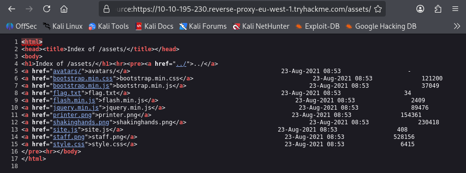 Viewing The Page Source