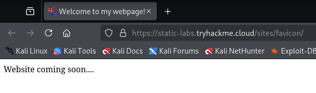 Manual Discovery - Favicon
