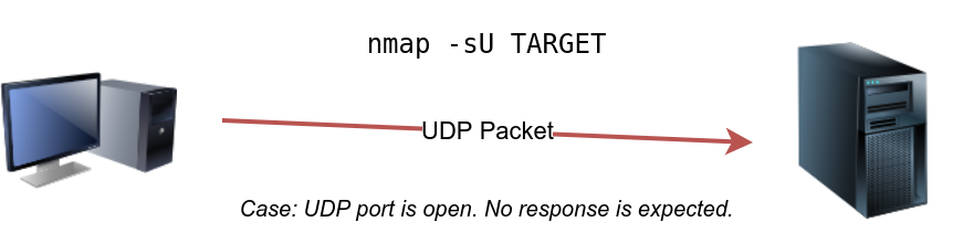 UDP Scan