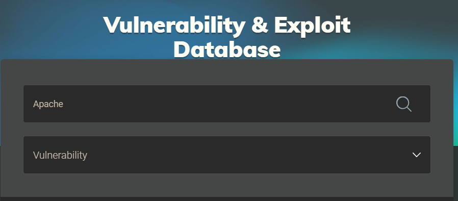 Finding Manual Exploits