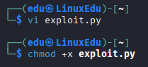Practical - Manual Exploitation