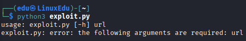 Practical - Manual Exploitation
