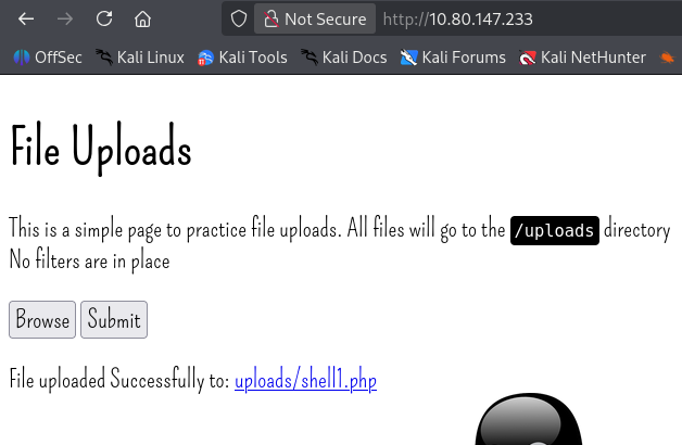 Linux Practice Box