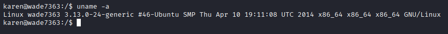 Privilege Escalation - Kernel Exploits