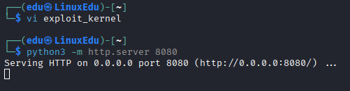 Privilege Escalation - Kernel Exploits