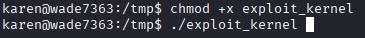 Privilege Escalation - Kernel Exploits