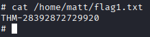 Privilege Escalation - Kernel Exploits