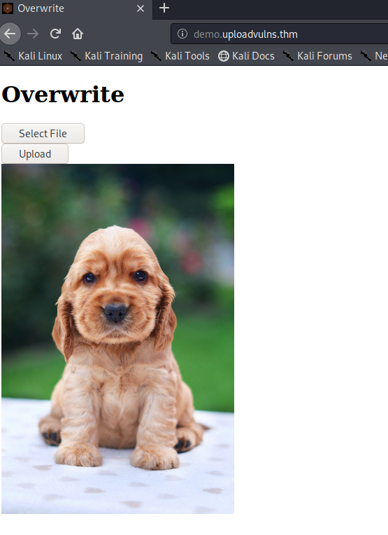 Overwriting Existing Files