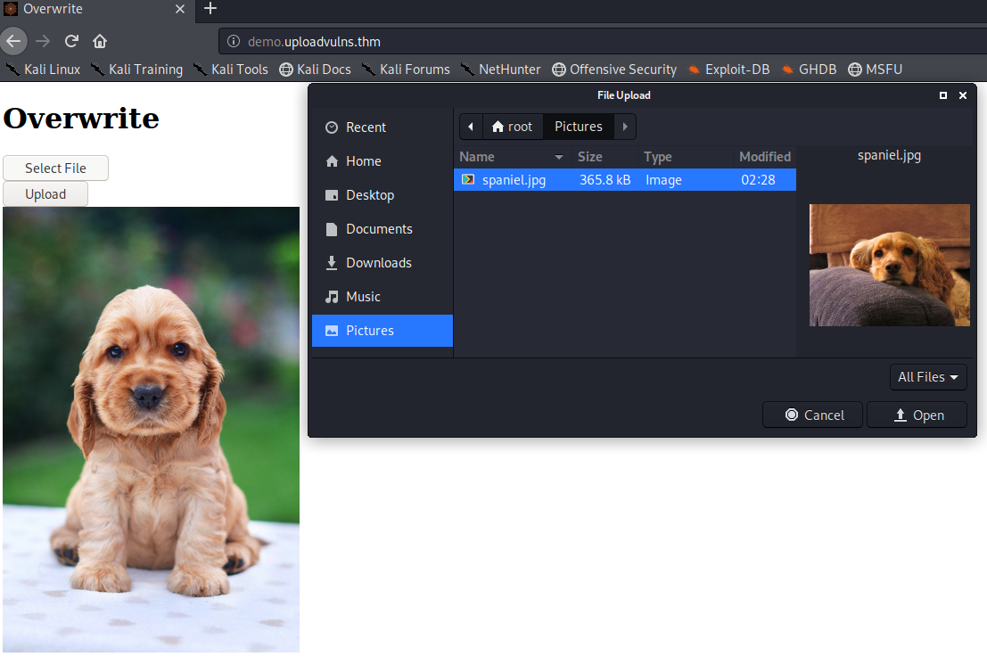 Overwriting Existing Files