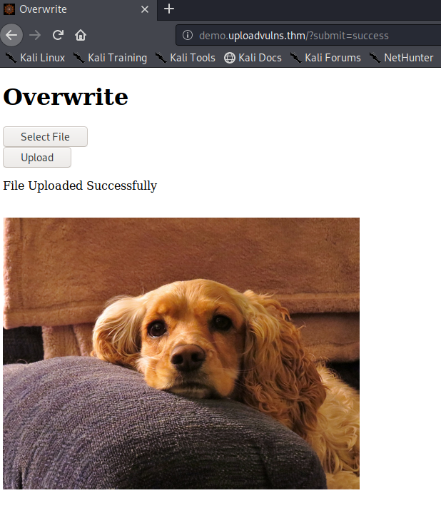 Overwriting Existing Files