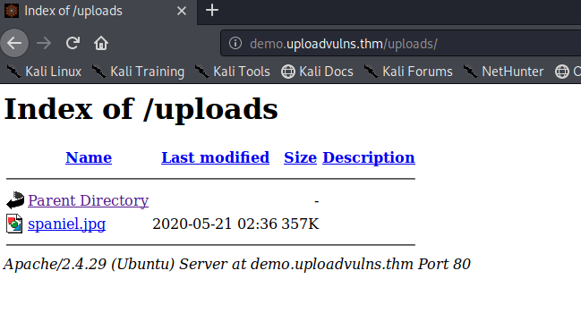 Remote Code Execution