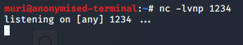 Remote Code Execution