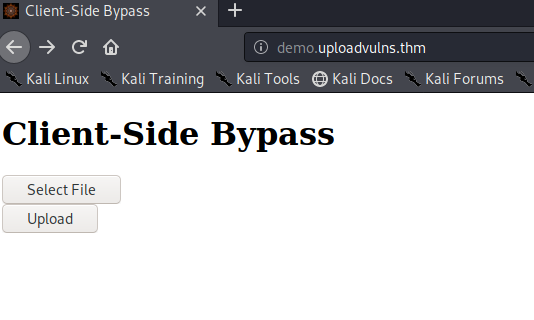 Bypassing Client-Side Filtering
