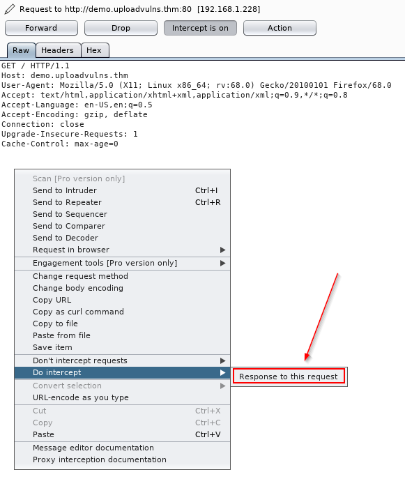Bypassing Client-Side Filtering