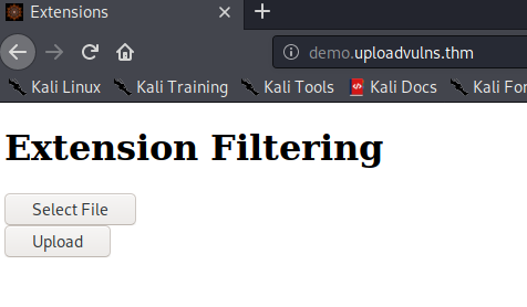 Bypassing Server-Side Filtering - File Extensions