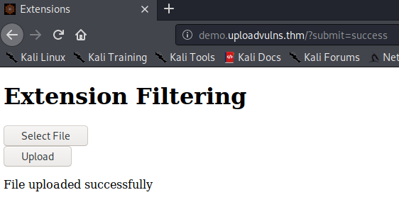 Bypassing Server-Side Filtering - File Extensions