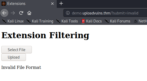 Bypassing Server-Side Filtering - File Extensions