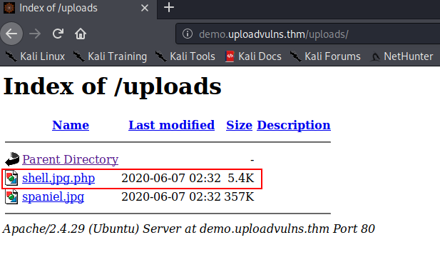 Bypassing Server-Side Filtering - File Extensions