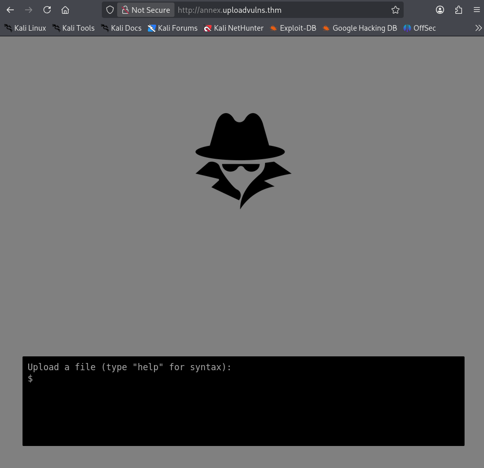 Bypassing Server-Side Filtering - File Extensions