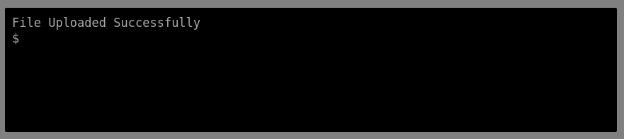 Bypassing Server-Side Filtering - File Extensions