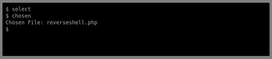 Bypassing Server-Side Filtering - File Extensions