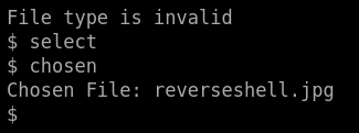 Bypassing Server-Side Filtering - File Extensions