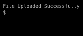 Bypassing Server-Side Filtering - File Extensions