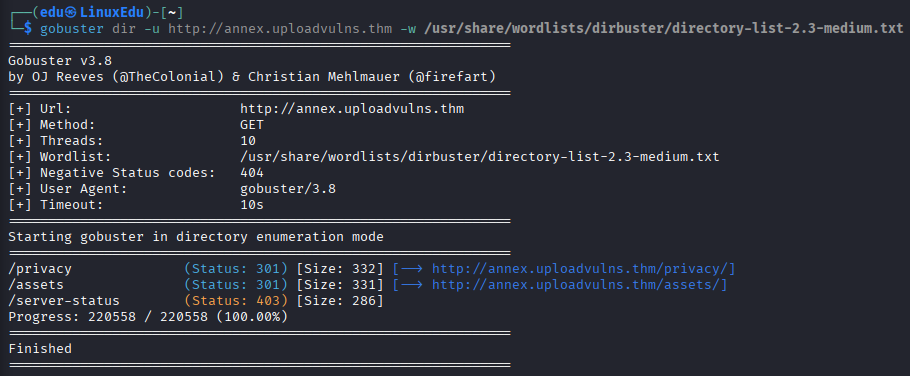 Bypassing Server-Side Filtering - File Extensions