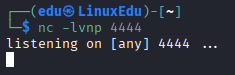 Bypassing Server-Side Filtering - File Extensions