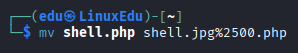 Bypassing Server-Side Filtering - File Extensions