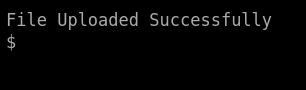 Bypassing Server-Side Filtering - File Extensions